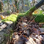 Boshuisje Op De Schatberg 샬레 세벤눔