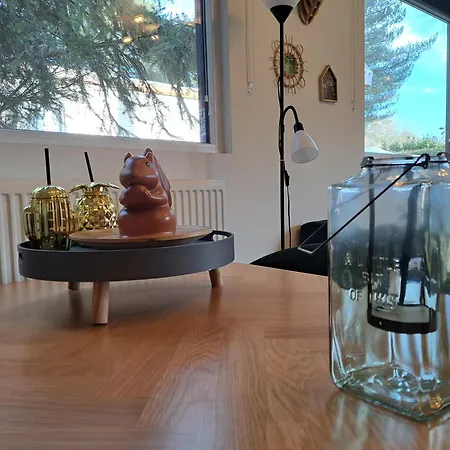 Boshuisje Op De Schatberg