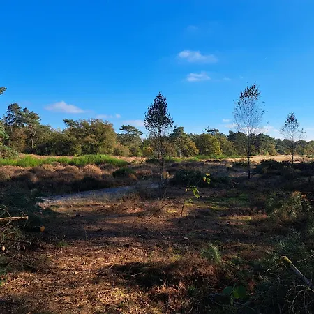 Boshuisje Op De Schatberg * Севенум