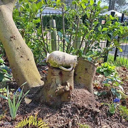 Boshuisje Op De Schatberg Шале