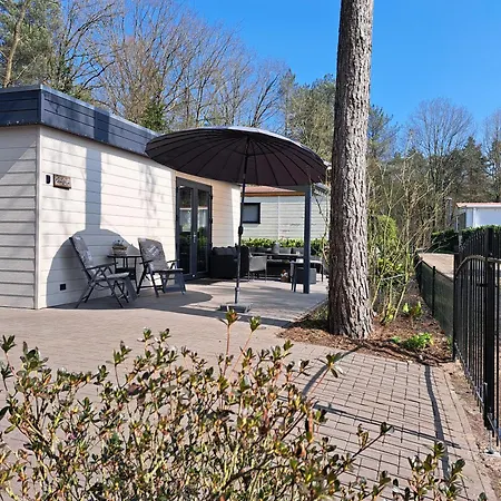 Boshuisje Op De Schatberg