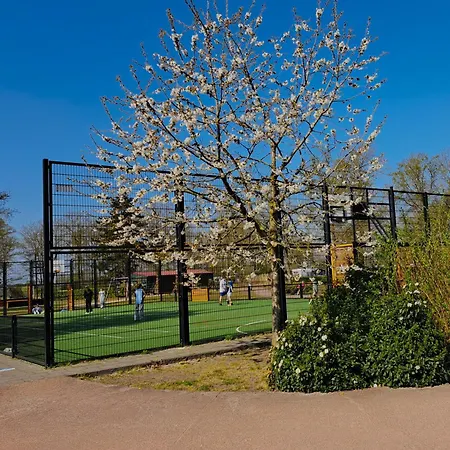 Boshuisje Op De Schatberg Шале *