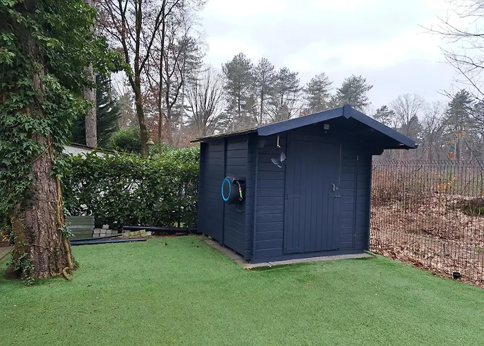 Boshuisje Op De Schatberg