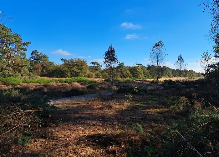 Boshuisje Op De Schatberg * Sevenum