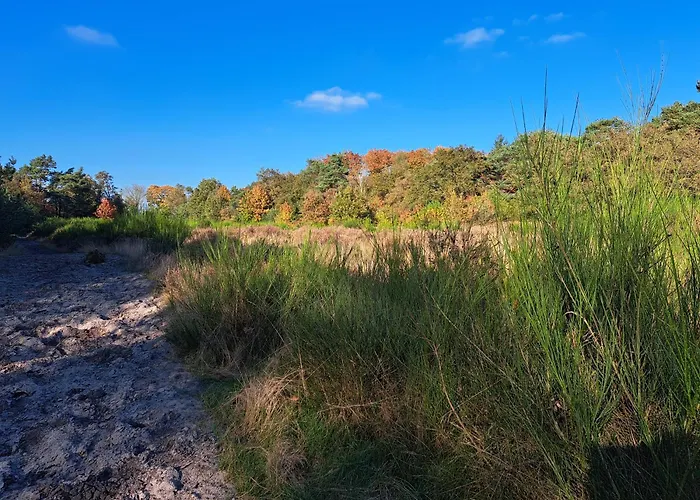 Boshuisje Op De Schatberg * Sevenum