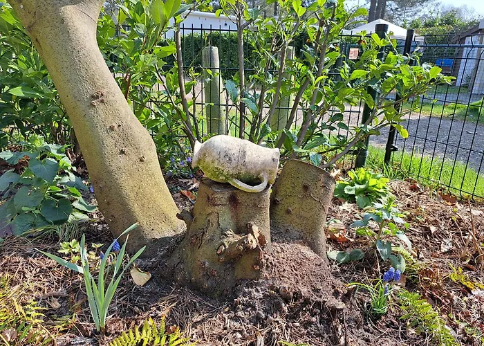 Boshuisje Op De Schatberg Horská chata