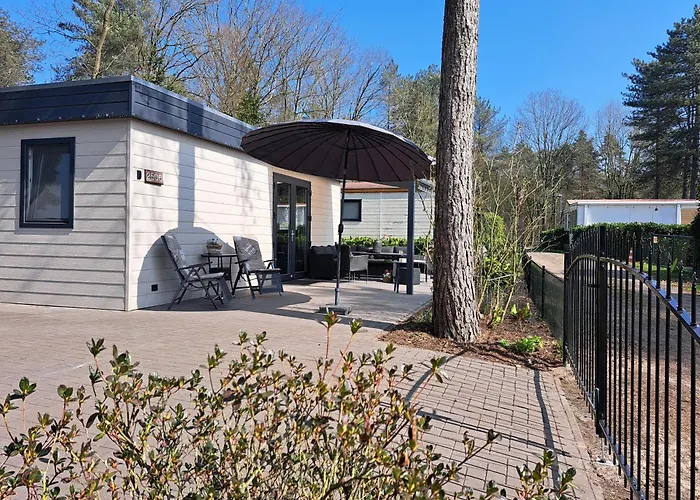 Boshuisje Op De Schatberg