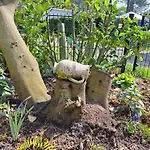 Boshuisje Op De Schatberg 샬레